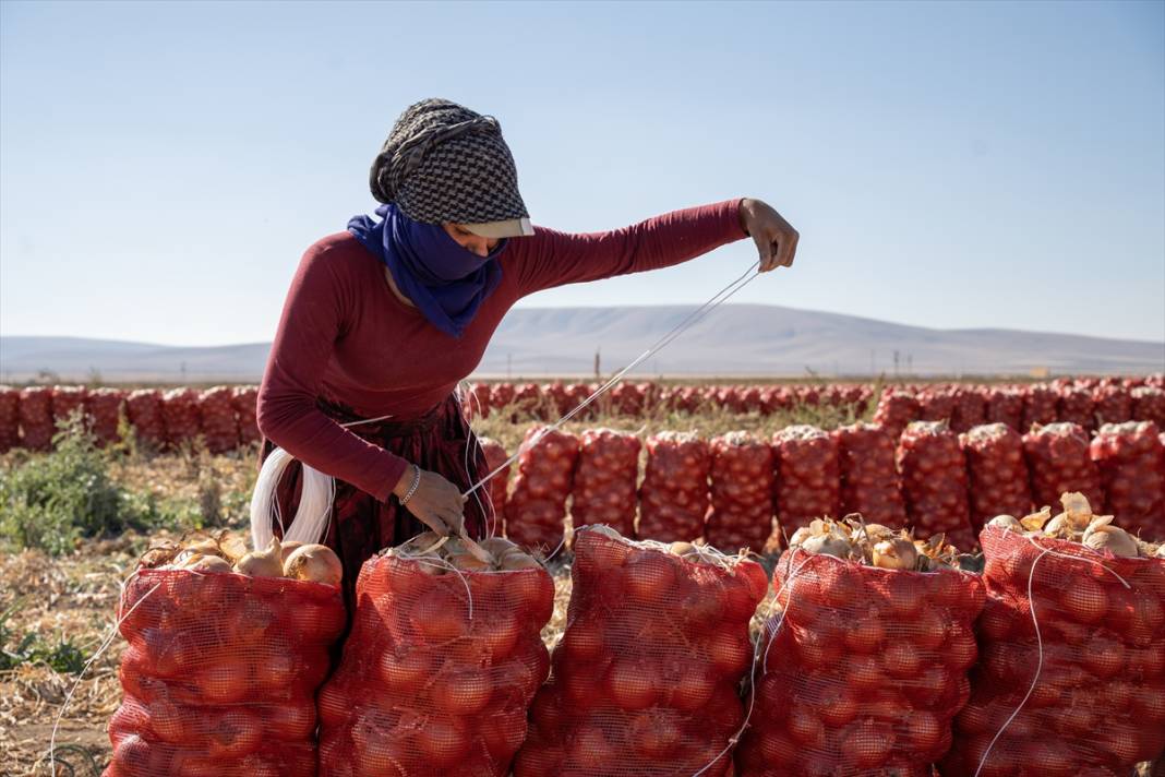 Konya Ovası’nda tablo gibi hasat 25